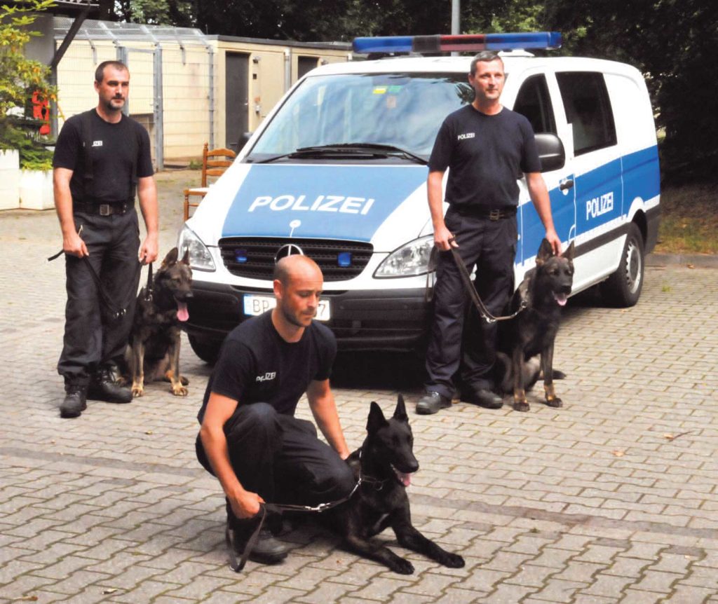 Die Hunde Der Bundespolizei Hunde Reporter