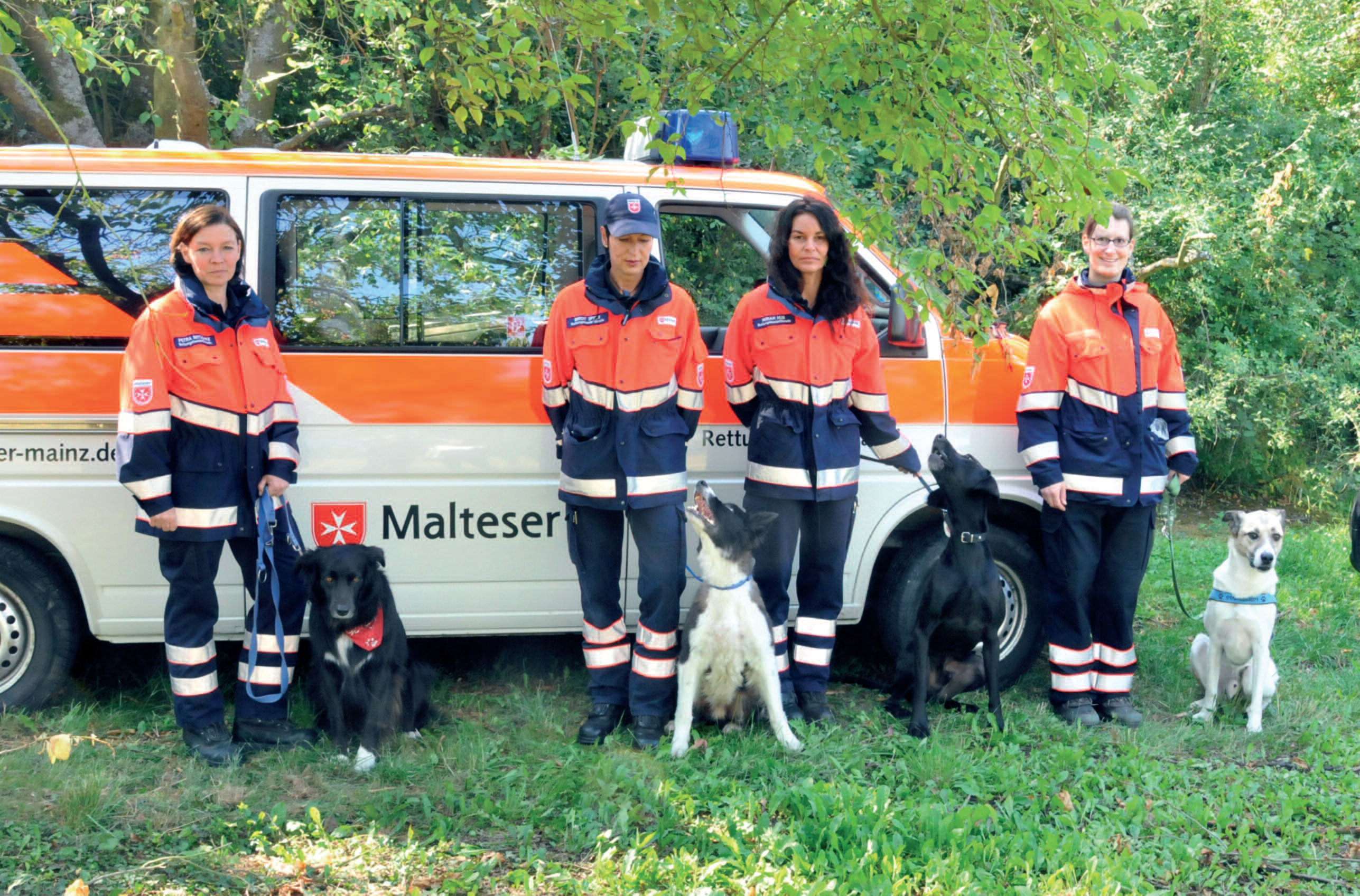 Rettungshundestaffel Mainz Hunde Reporter