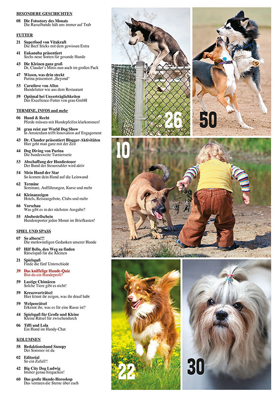 Hunde-Reporter Shop - Hunde-Reporter - Ausgabe 74 - 2018